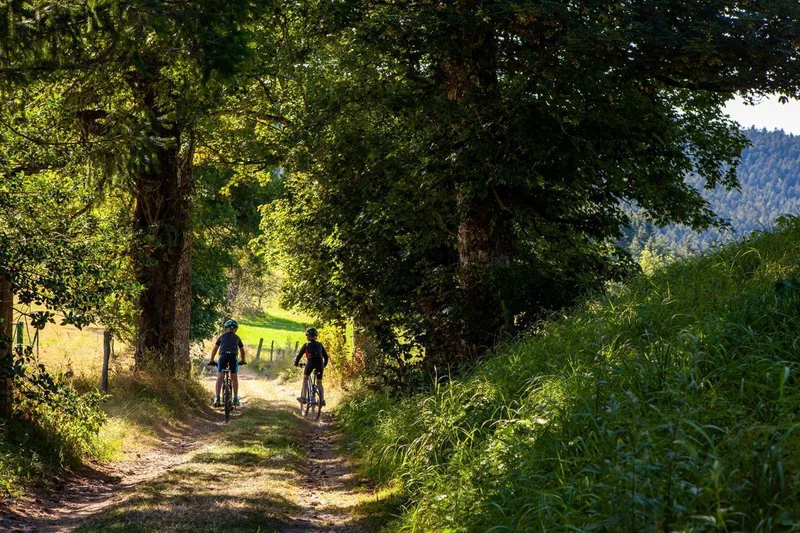 VTT 62-  La Saint-Bonnette — Saint-Bonnet-le-Froid