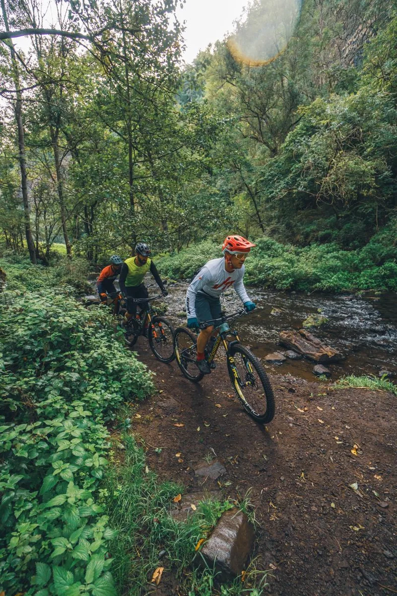 VTT Bois multiples — Craponne-sur-Arzon