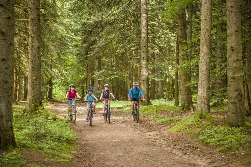 VTT 1 - La Bruyère · Le Chambon-sur-Lignon