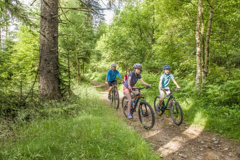 VTT 2 - Le Bois de Peybrousson — Le Chambon-sur-Lignon
