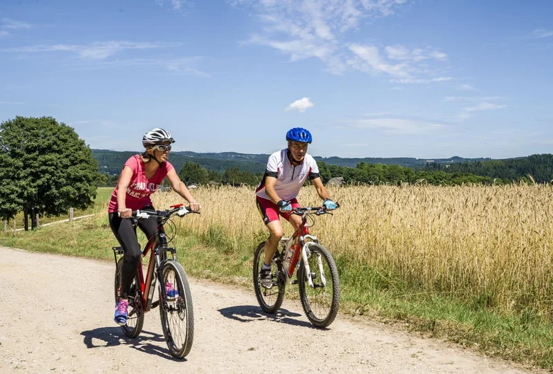 VTT 8 - Le Plateau · Mazet-Saint-Voy