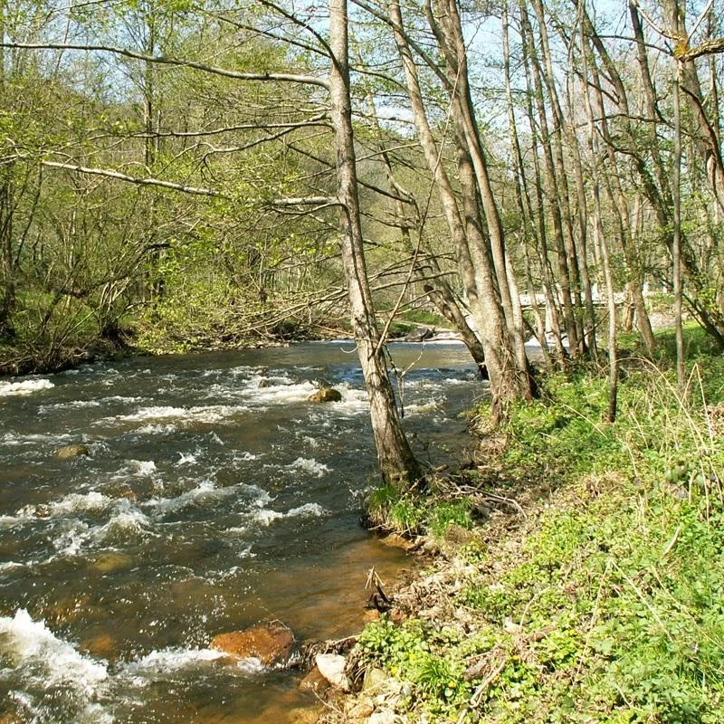 VTT 24 - De l'Ance à la Loire — Beauzac