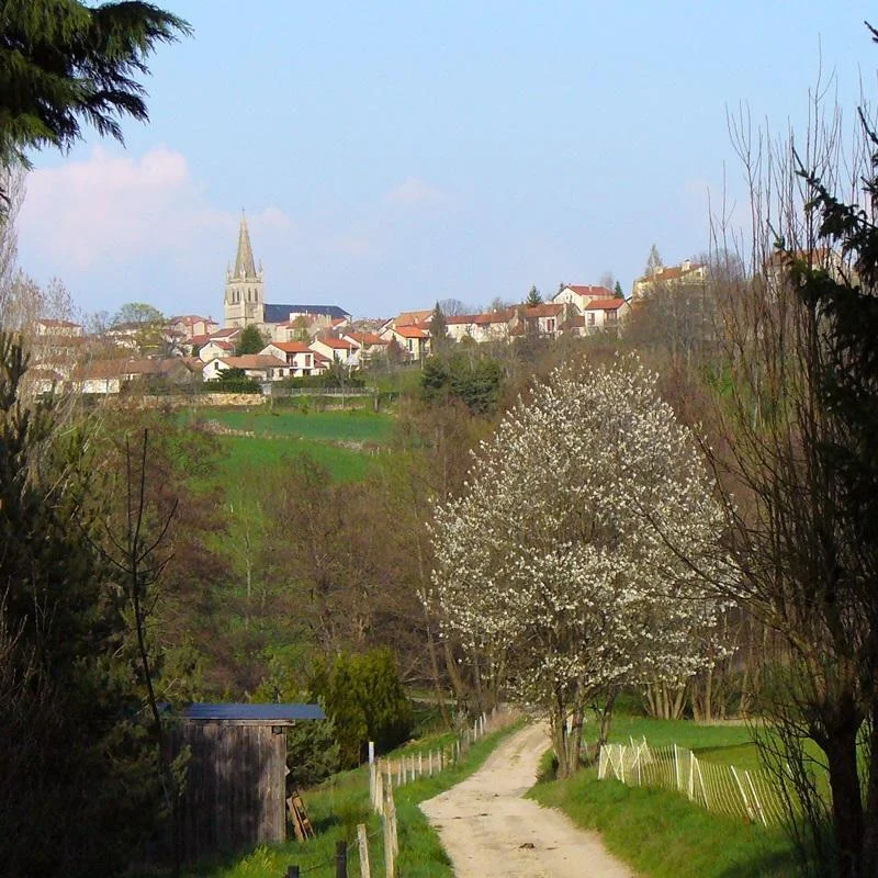 VTT 31- La Roche de l'âne · Sainte-Sigolène