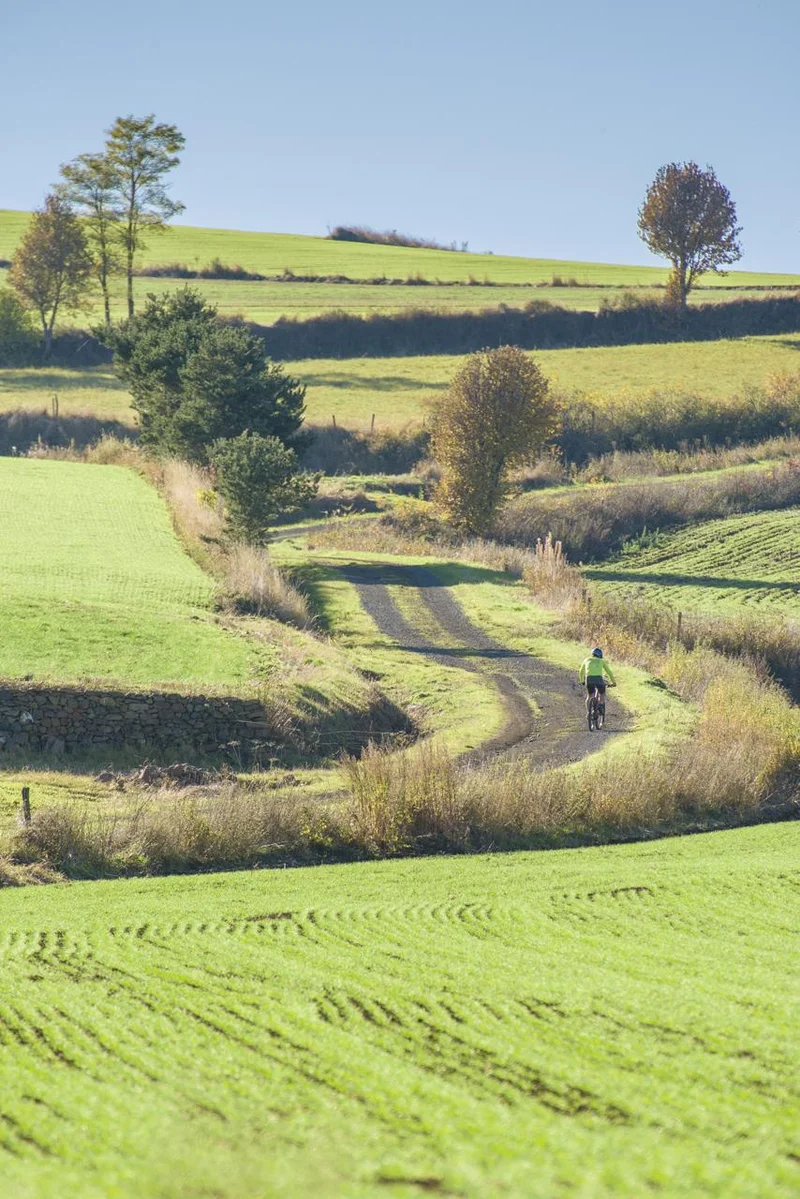 VTT 163 - Au Pays de Lentille Verte (balisage n°12) · Landos