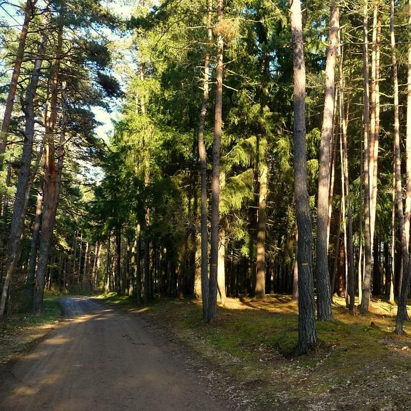 VTT 23 - Lous Pinatou · Beauzac