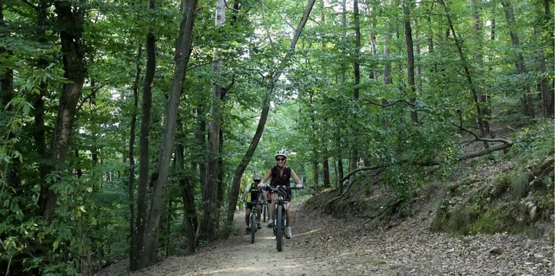 VTT 87 - Le tour au Galop — Saint-Victor-Malescours