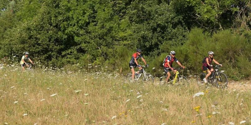VTT 95 - Le Parcours des Marteaux · Pont-Salomon