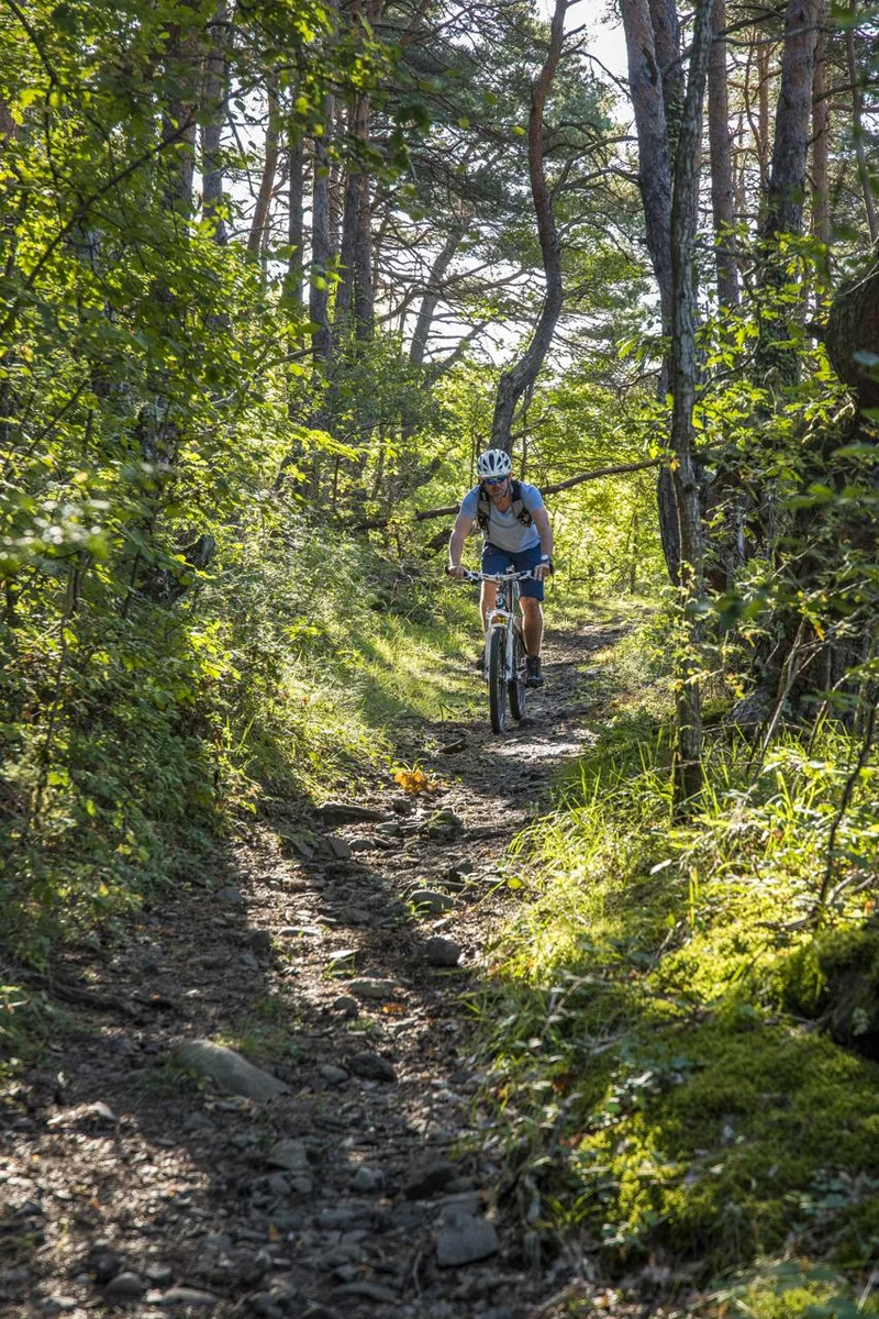 VTT 119 - de la Huche aux Juscles (balisage n°7) · Saint-Étienne-Lardeyrol