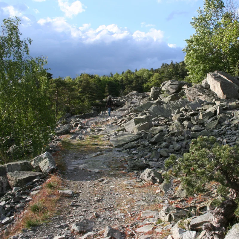 Randonnée PR604 Suc de Combres et forêt de Miaune · Roche-en-Régnier