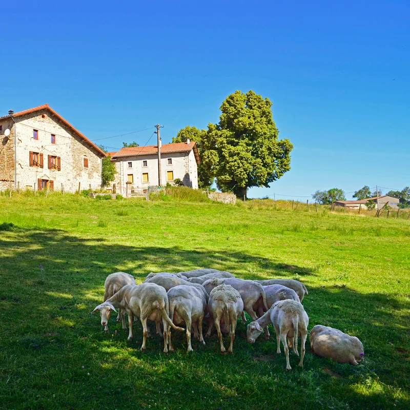 Randonnée PR143 Le suc de Mons — Saint-Georges-Lagricol