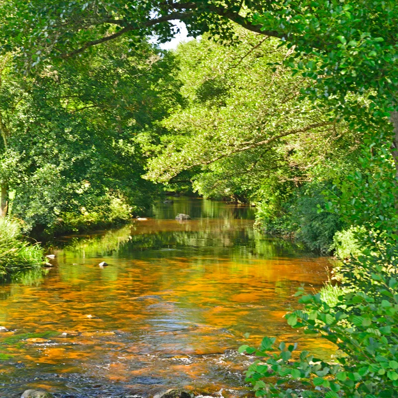 Randonnée PR689 Autour du Champdieu — Saint-Julien-d'Ance