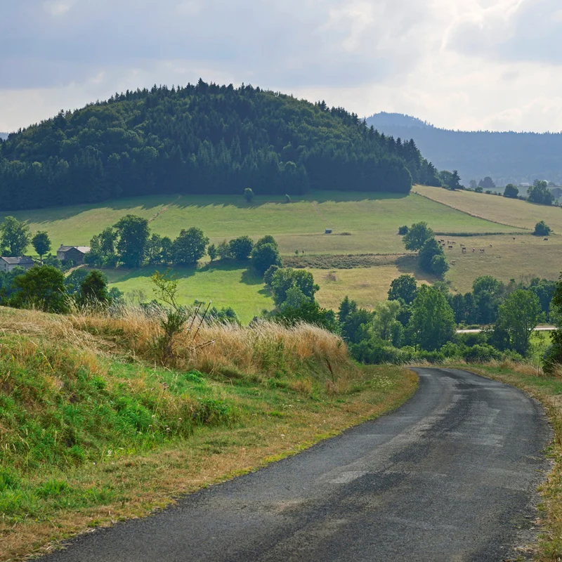 Randonnée PR133 Vers le suc du Mounier · Saint-Jeures