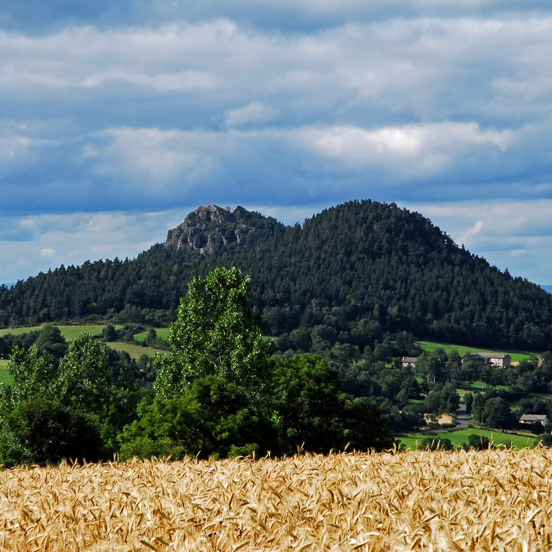 Randonnée PR367 Le Montivernoux — Yssingeaux