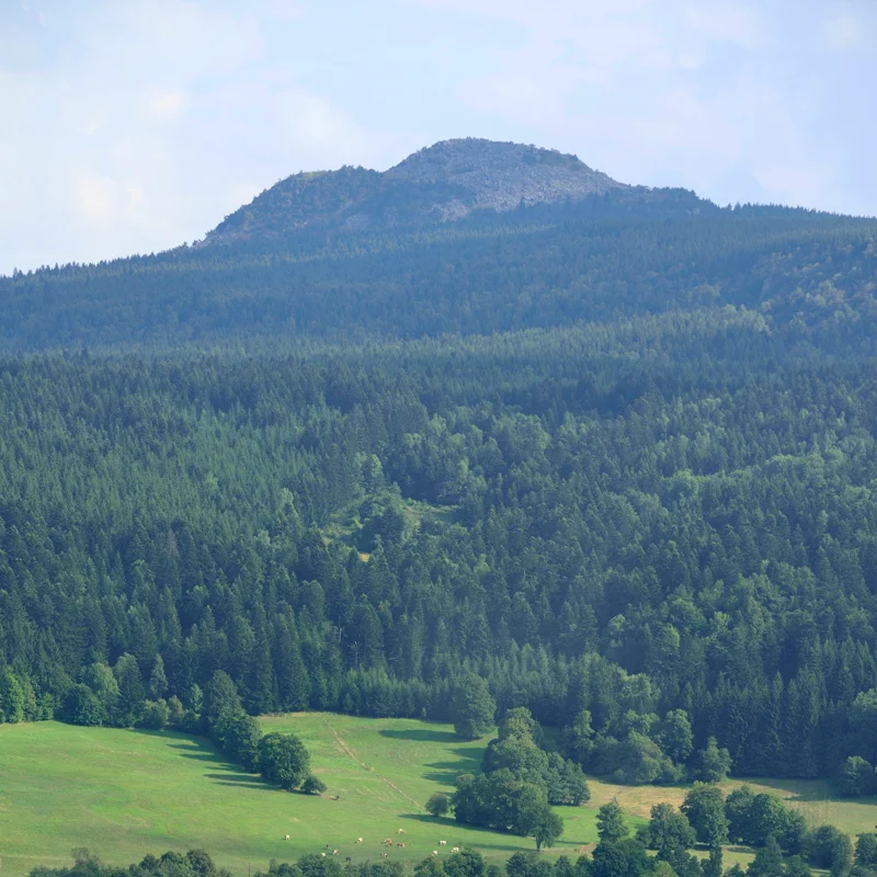 Randonnée PR132 Les ravins de l'Auze · Saint-Jeures