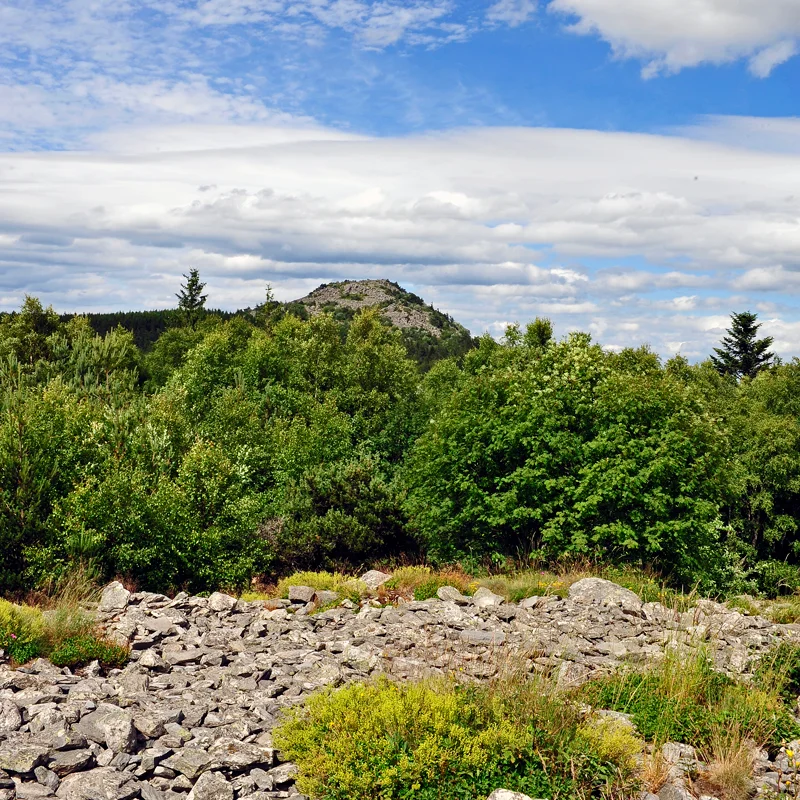 Randonnée PR513 Entre Lizieux et Meygal · Araules