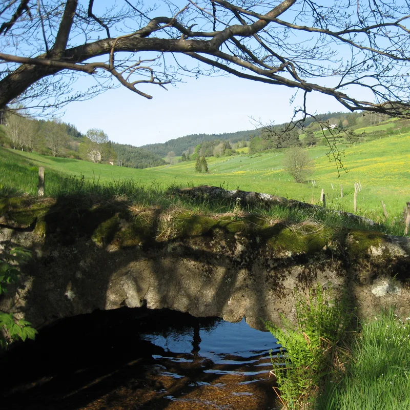 Randonnée PR229 Le moulin Rochette · Montregard