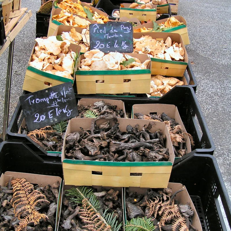 Randonnée PR090 Trédos · Saint-Bonnet-le-Froid
