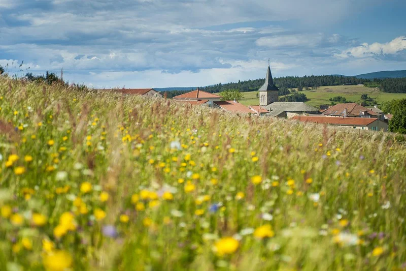 Randonnée PR461 Le Fanget · Saint-Bonnet-le-Froid