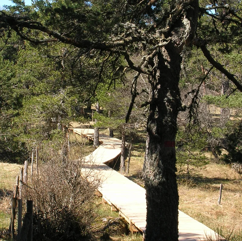 Randonnée PR663 Valat de la Planche · Chanaleilles