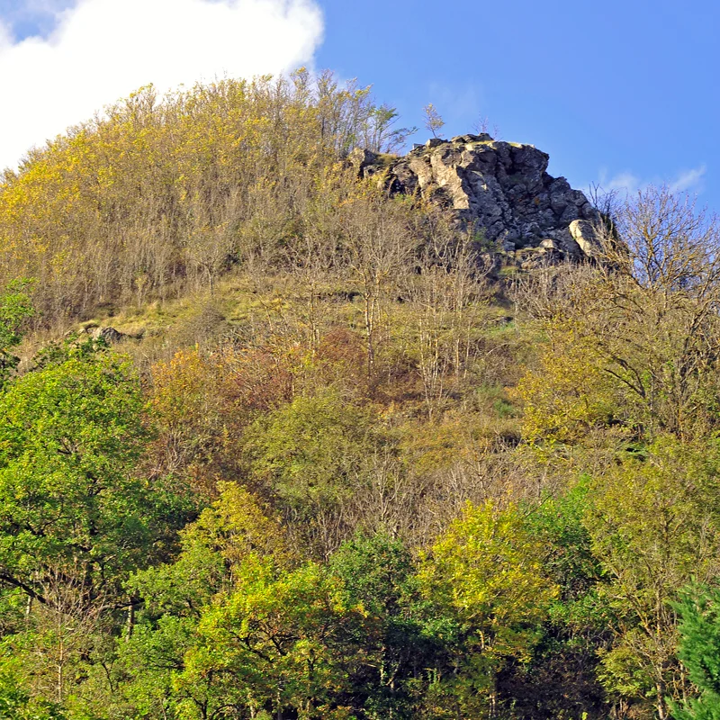 Randonnée PR665 Du haut du suc de Mercœur · Malrevers