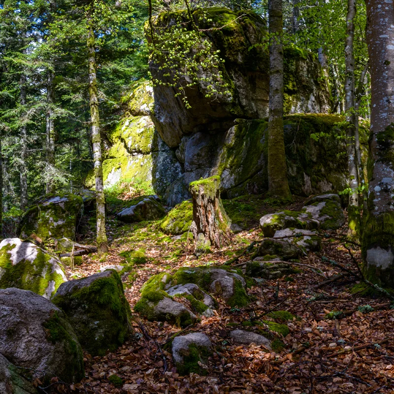 Randonnée PR614 La roche Martine — Connangles