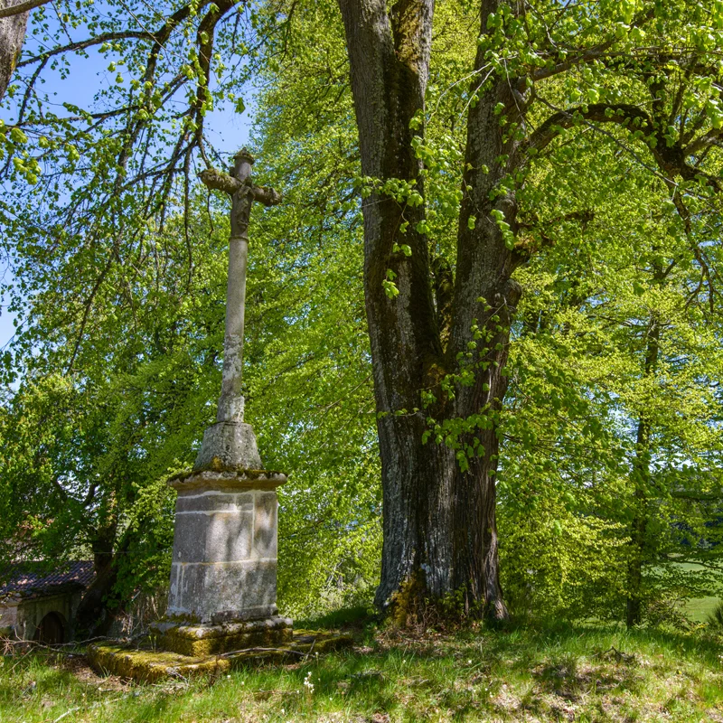 Randonnée PR103 Folgoux et l'arboretum — Malvières