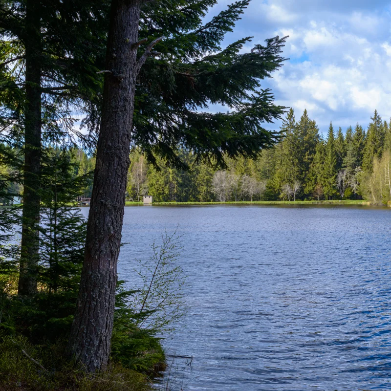 Randonnée PR101 La croix du Bancillon — Malvières
