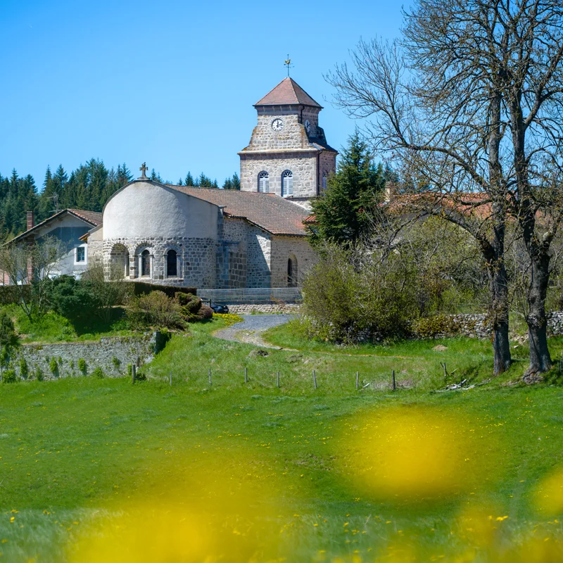 Randonnée PR621 Les sources de la Borne · Félines