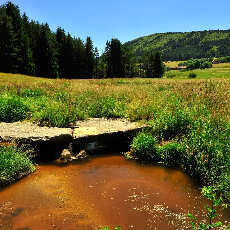 Randonnée PR683 De Garitou aux Ardennes · Céaux-d'Allègre