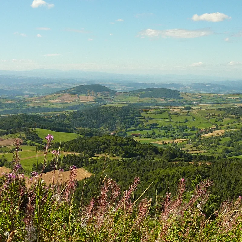 Randonnée PR548 Les quatre vents · Saint-Christophe-sur-Dolaizon