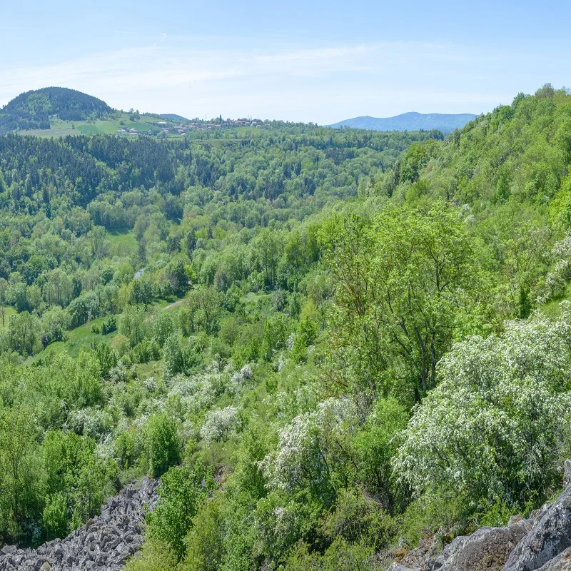 Randonnée PR552 La haute vallée du Dolaizon · Vals-près-le-Puy