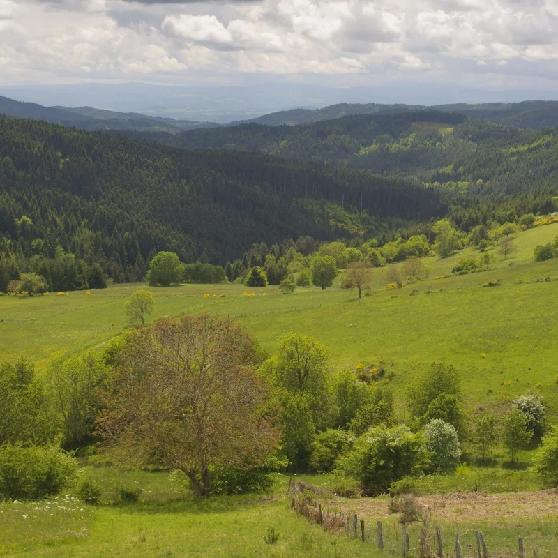 Randonnée PR175 Le Sentier du Muletier — Saint-Vert
