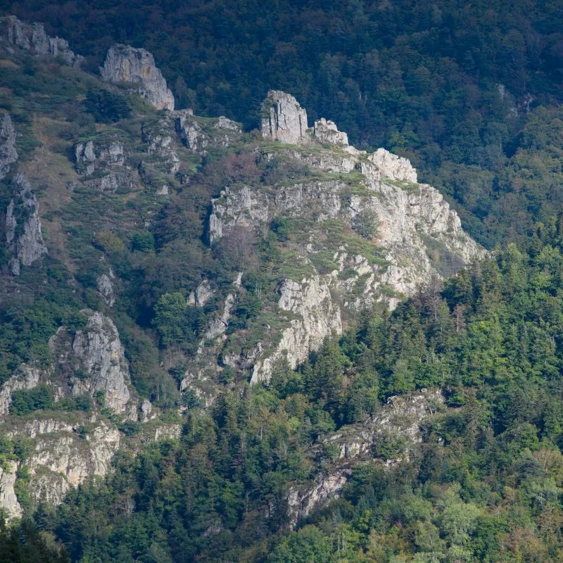 Randonnée PR261 Les Aiguilles — Monistrol-d'Allier