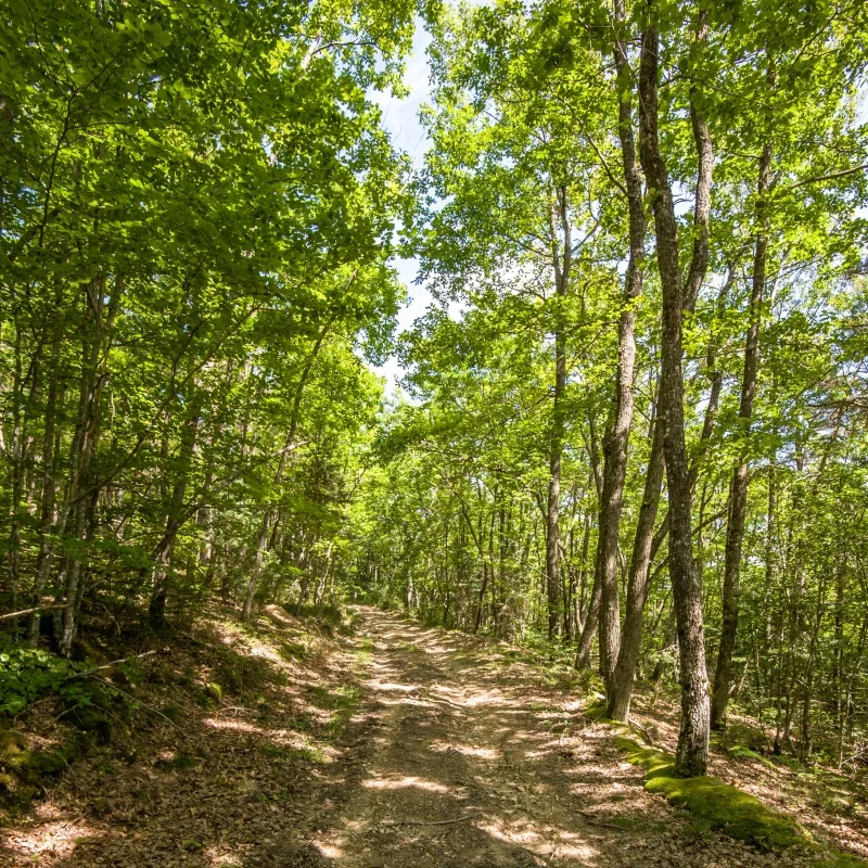 Randonnée PR402 La terre et la pierre · Chassagnes