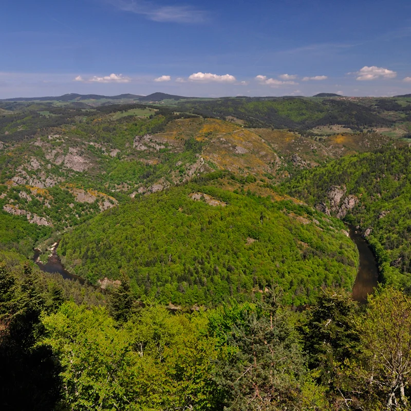 Randonnée PR453 Le sentier de la Faïsse · Saint-Christophe-d'Allier