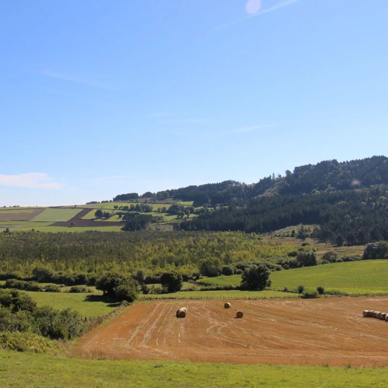 Randonnée PR702 La Durande et le Marais de Limagne · Saint-Bérain