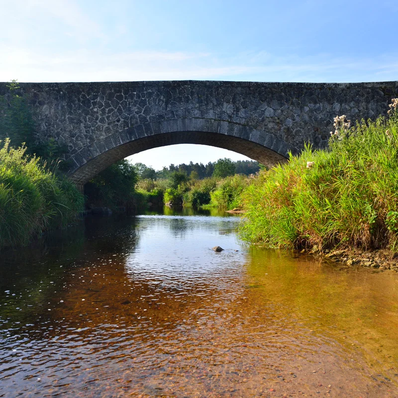 Randonnée PR136 Autour de la Gouise · Beaune-sur-Arzon