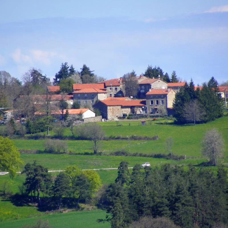 Randonnée PR296 La Fayolle · Saint-Pal-de-Mons