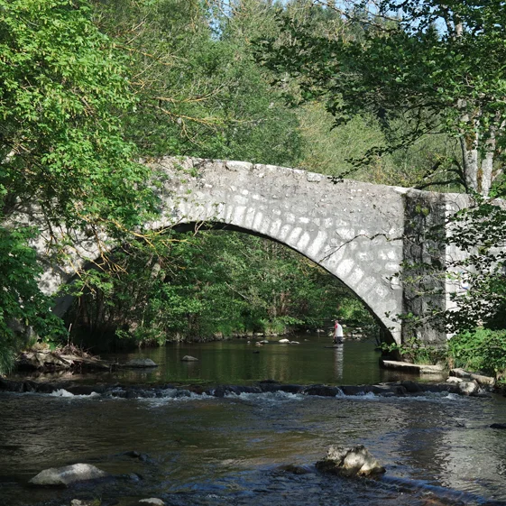 Randonnée PR268 Le circuit du Crapaud · Saint-Didier-en-Velay
