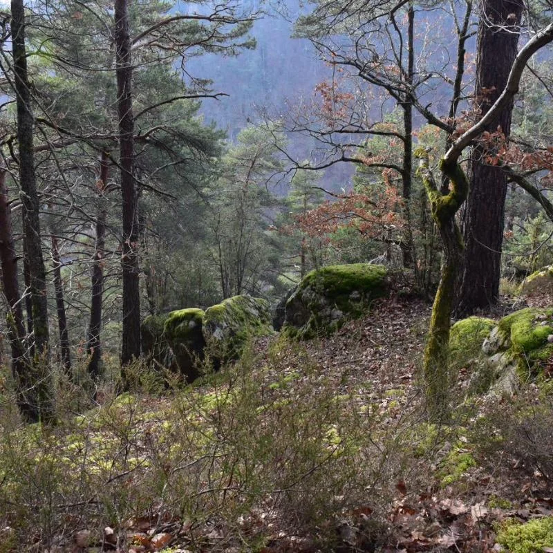 Randonnée PR627 Autour de Pébrau · Les Villettes