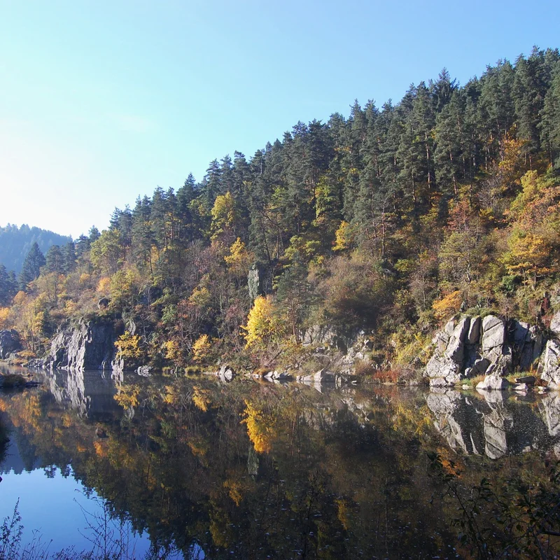 Randonnée PR299 Le ruisseau du Moulina — La Chapelle-d'Aurec