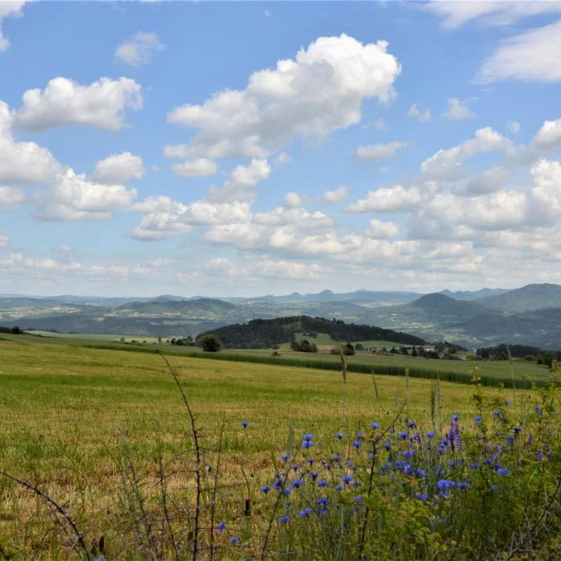 Randonnée PR212 La vallée de l'Ance — Solignac-sous-Roche