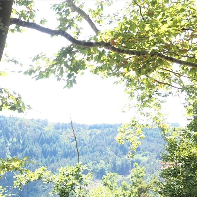 Randonnée PR681 De Chomont aux Côtes — Valprivas