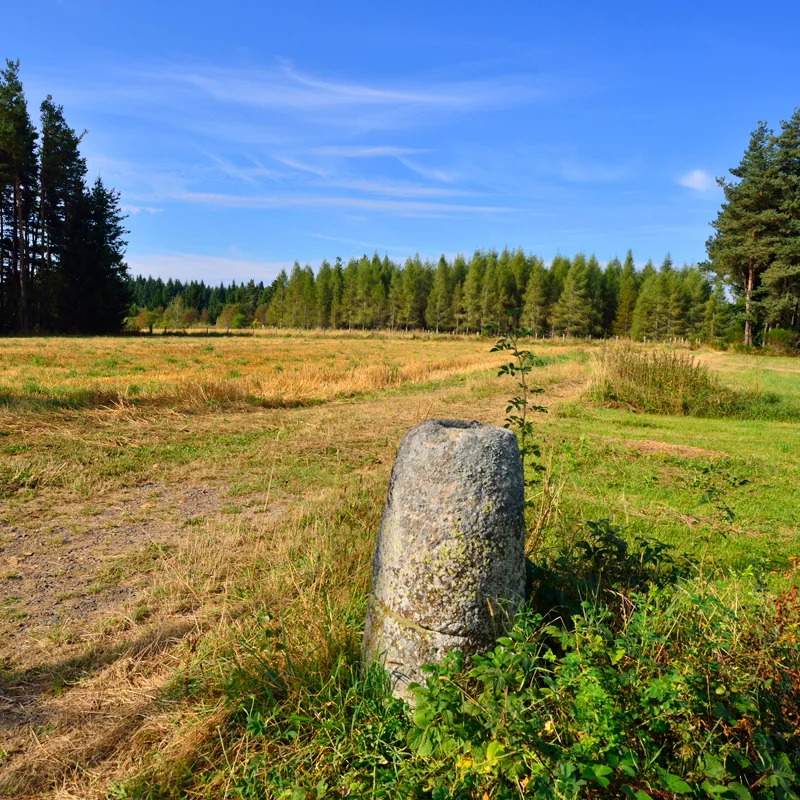 Randonnée PR687 Le suc de Bèze — Saint-Jean-d'Aubrigoux