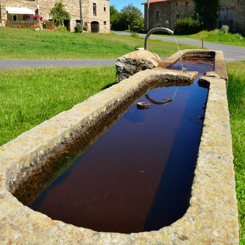 Randonnée PR140 Le circuit de l'Escudelle — Craponne-sur-Arzon