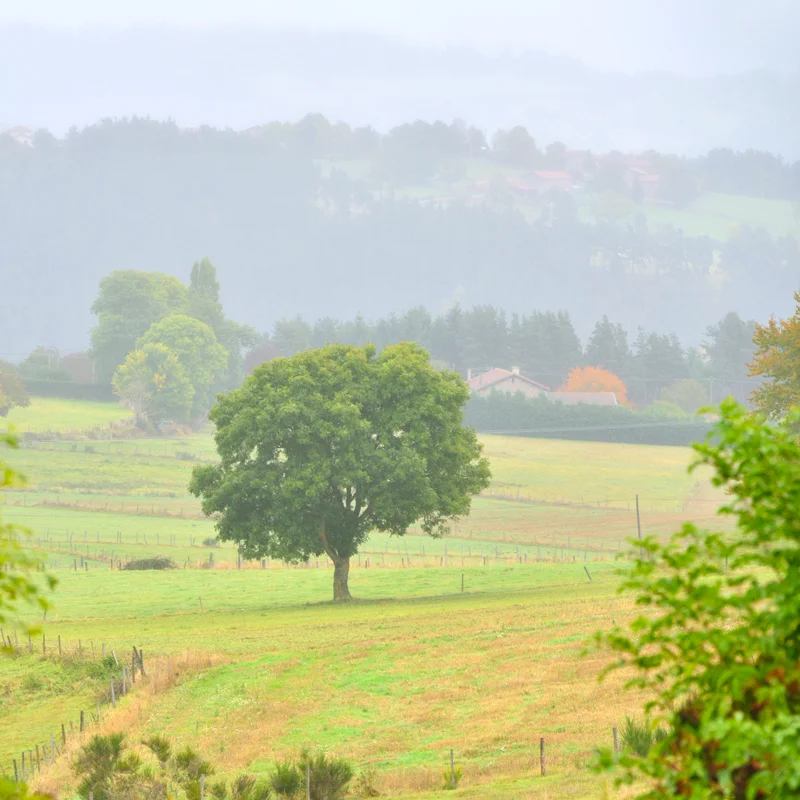 Randonnée PR688 Le chemin des Trois Provinces — Craponne-sur-Arzon
