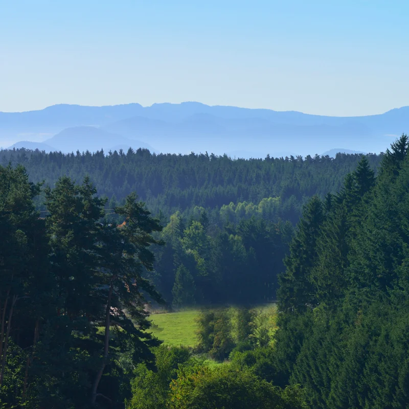 Randonnée PR595 Des sucs à la Dorette — Jullianges