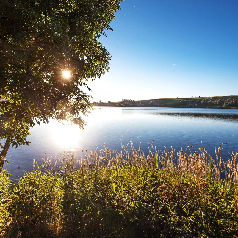 Randonnée PR061 Le lac de Saint-Front · Saint-Front
