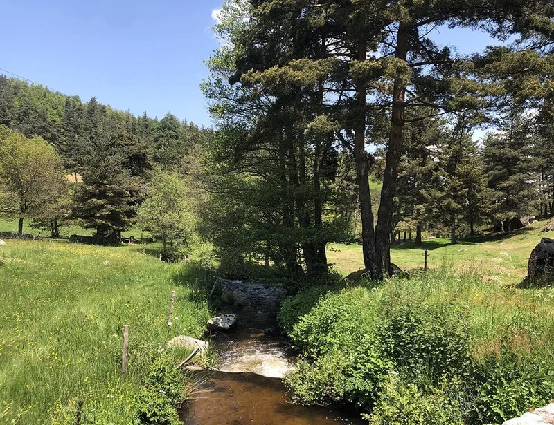 Vélo de route 12 - Petit tour en Margeride — Saugues