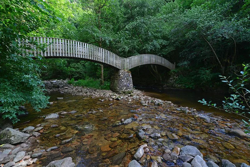 Vélo de route 41 - Autour de la Dunière — Sainte-Sigolène